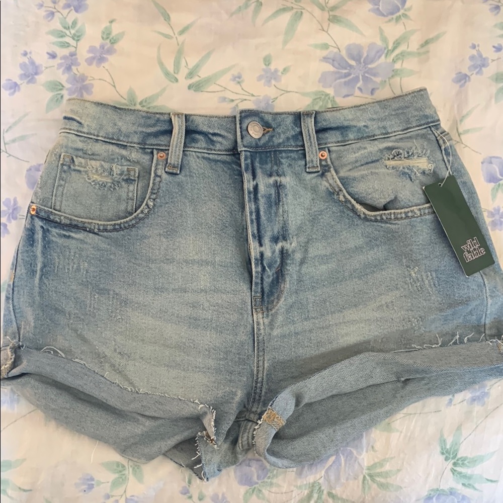 Wild Fable Light Blue Jean Shorts